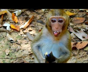 Yummy...Yummy, Our princess ALBA eating vitamin fruits