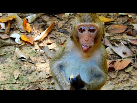 Yummy...Yummy, Our princess ALBA eating vitamin fruits