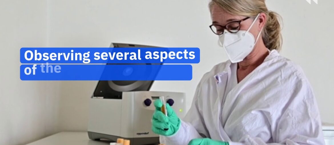 Coronavirus Immunity Can Last for More Than 6 Months, New Study Finds