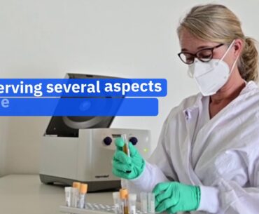 Coronavirus Immunity Can Last for More Than 6 Months, New Study Finds