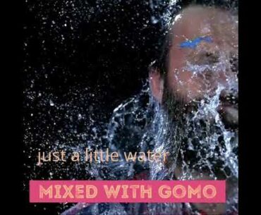 GoMo Energy and Vitamins || Fitness From Within