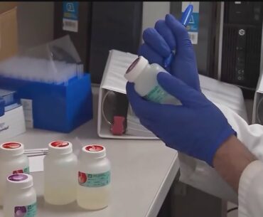 Research Hints At Long-Lasting Immunity After Infection