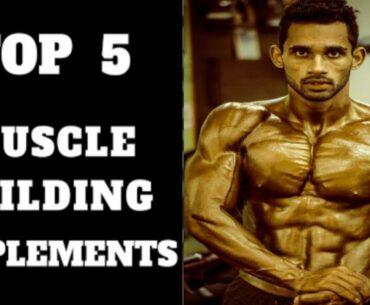 Top 5 supplements for muscle growth | us supplements