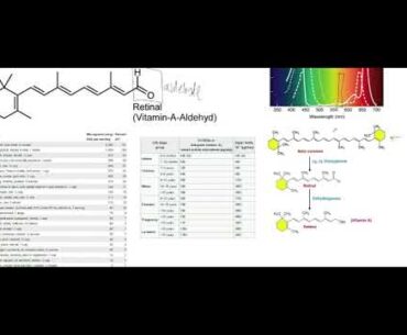 Nutrition and Metabolism 14 | Fat Soluble Vitamins - Introduction