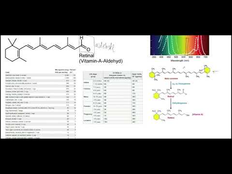 Nutrition and Metabolism 14 | Fat Soluble Vitamins - Introduction