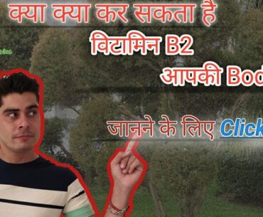 Vitamin B2 Riboflavin || Nutrition Guru ||