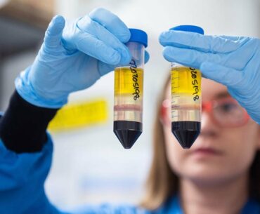 Oxford Covid-19 vaccine is 'vaccine for the world', says director of vaccine group