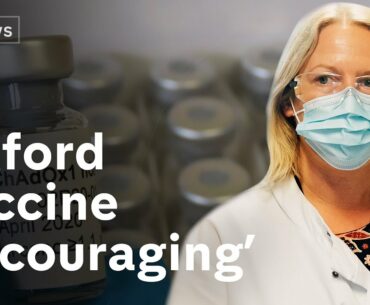 Covid vaccine shows a strong immune response in elderly people