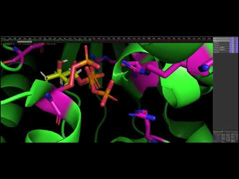 Nutrition and Metabolism 15 | Fat Soluble Vitamins - Vitamin A