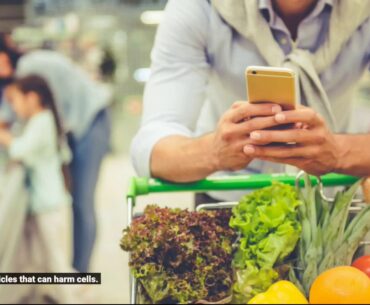 7 Easy Facts About Vitamins and Supplements - Grocery Delivery - Grocery Gateway Described