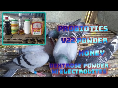 Vlog#27 -Budget Meal Vitamins |Cvlog