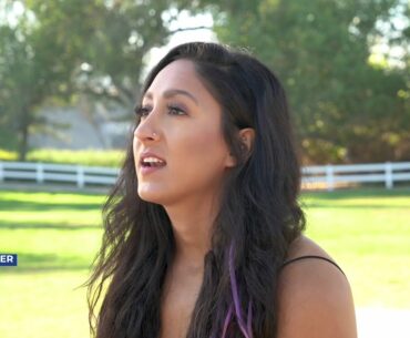 CBD Living Immune Boost