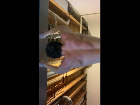 Body Weight Workout AT HOME: #shorts