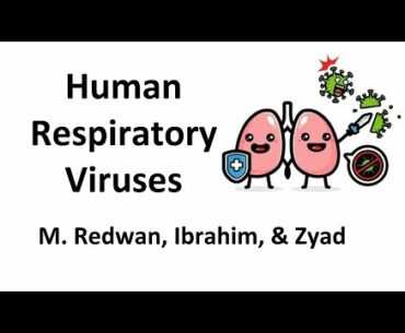 Safety during a Coronavirus Pandemic