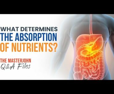 What determines the absorption of nutrients?