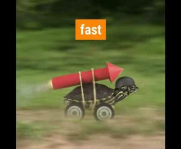 Get supplements online- Naturopathic doctor