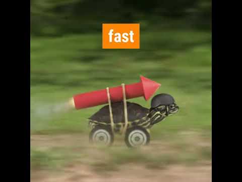 Get supplements online- Naturopathic doctor