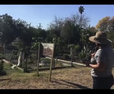 Nutrition Nuggets - Veggies and Vitamins