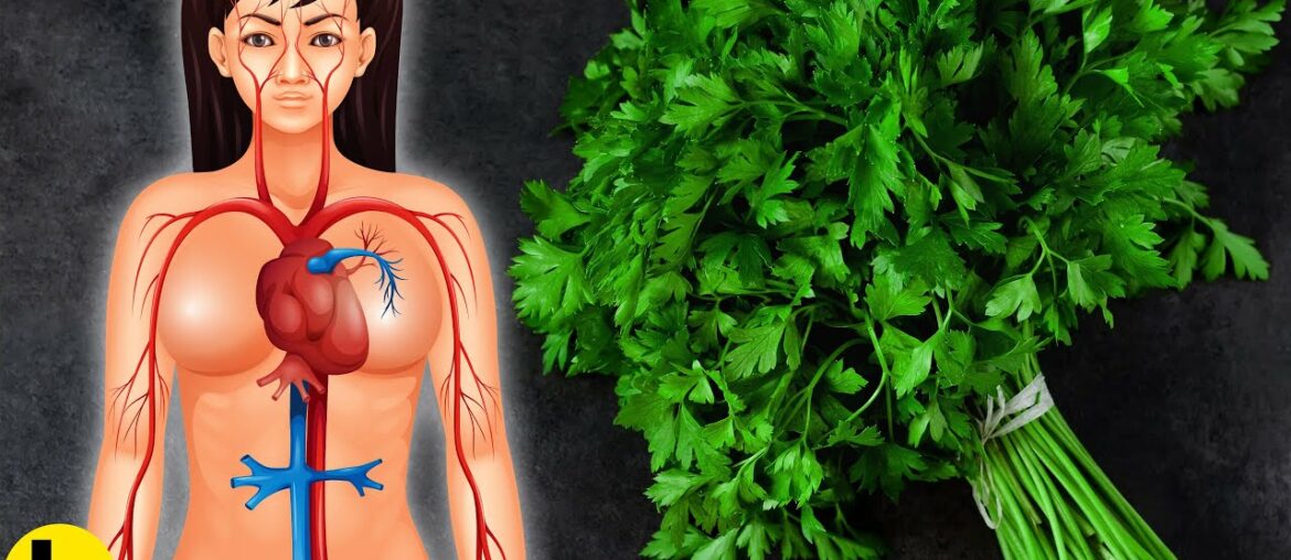 15 Powerful Health Benefits Of Parsley You Never Knew About