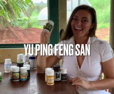 Herbs for Immunity While Traveling