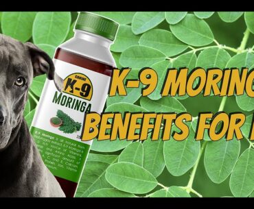 K-9 Moringa Benefits for Pets (Pet Super Food & Natural Vitamins Supplement)