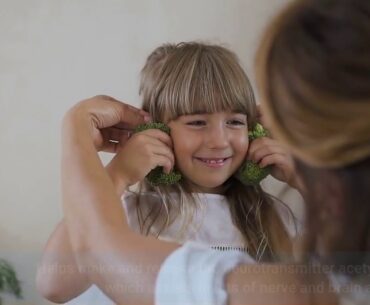 All About Vitamins & Minerals - Precision Nutrition Can Be Fun For Everyone