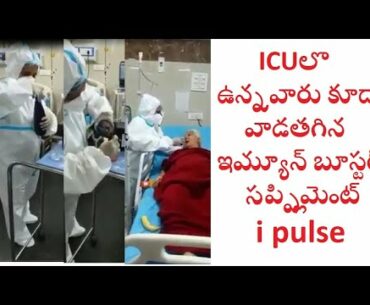 ipulse best immune booster supplement for all age & conditions l indusviva wellness vivaentrepreneur