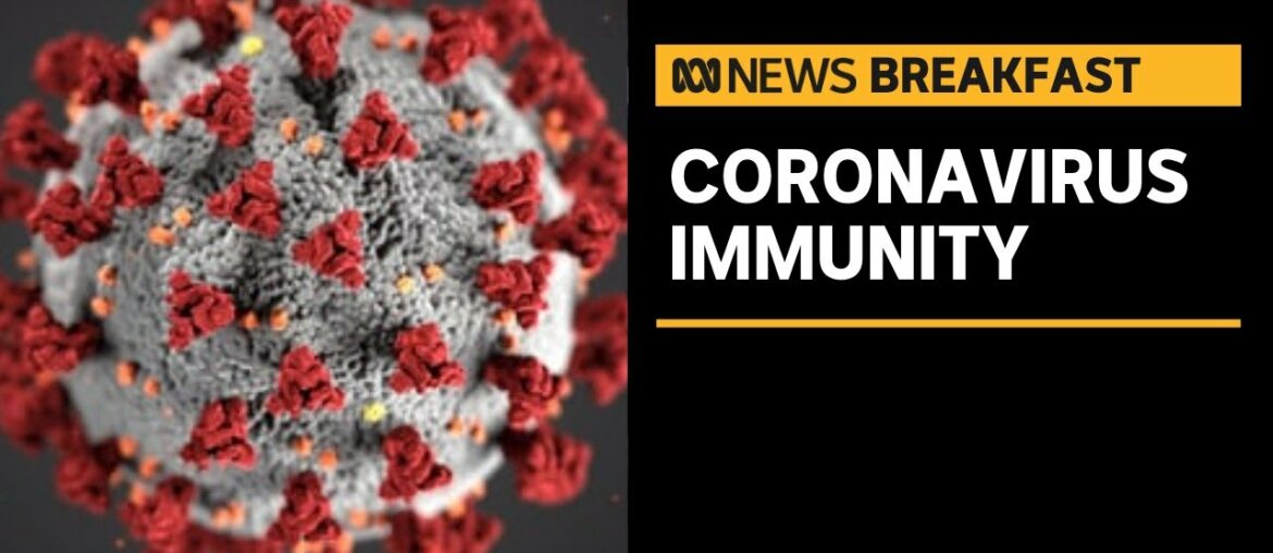 COVID-19 immunity can last at least eight months after infection, researchers discover | ABC News