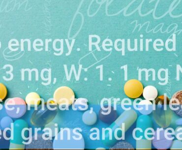 What Does Condition Specific Pet Vitamins, Human Vitamin Supplements Mean?