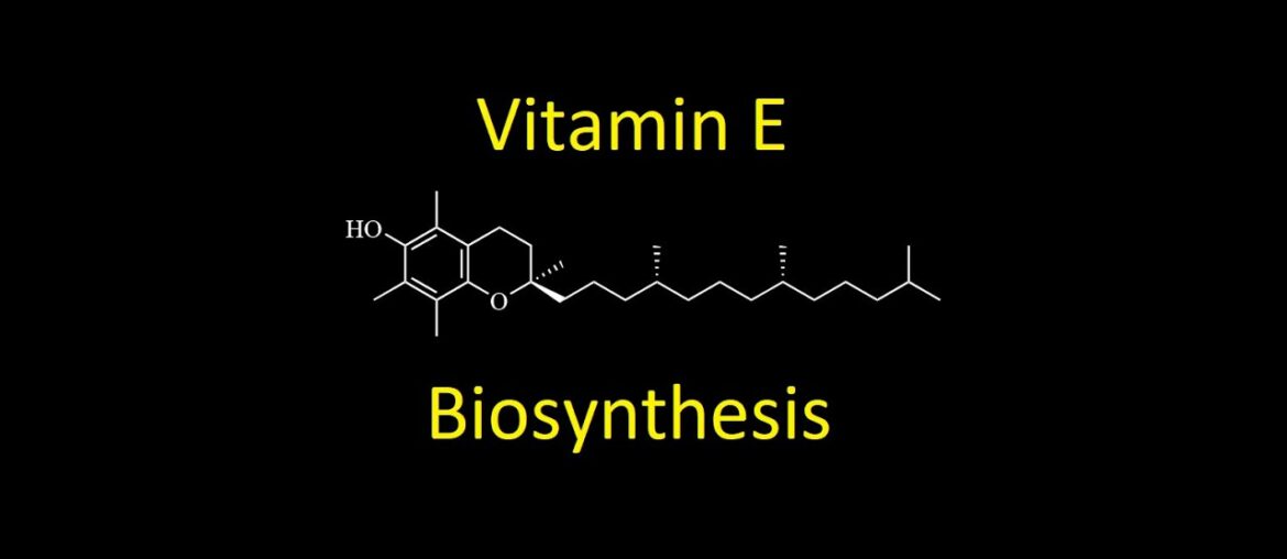 Nutrition 16 | Fat Soluble Vitamins 3 - Vitamin E