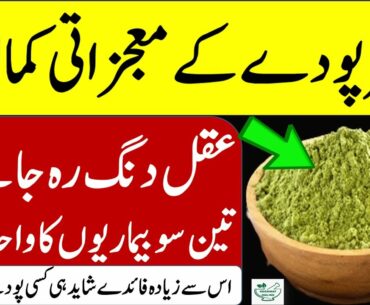 10 Health Benefits Of Moringa Powder, Moringa A Nutritious Superfood And Natural Multivitamin