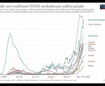 Covid Panic and lockdown refugees. Disappointing study on Vitamin D. US election lawsuits 3/7 needed