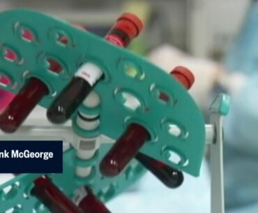 COVID-19 immunity: How long do antibodies last?