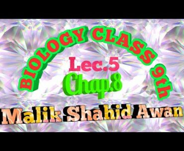 Matric Bio 9,Vitamins ,Types of Vitamins, Vitamin D - Ch 8 Nutrition - 9th Class Biology