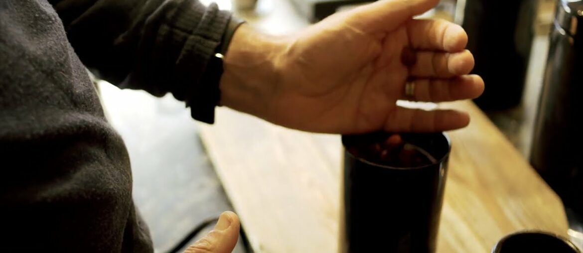 The Wiser Immune System: A Holistic Approach - Part 1/3 - "All Diseases Begin In The Gut"