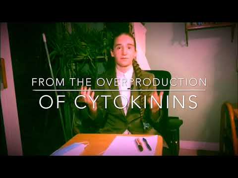 Episode 3: The Immune System (All About Coronavirus)