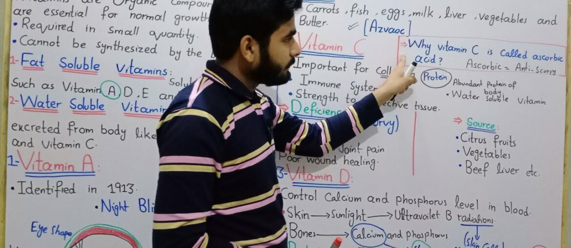 Vitamins || Vitamins And Deficiency Disease In Urdu Hindi By Mr Hadi | Fat And Water Soluble Vitamin