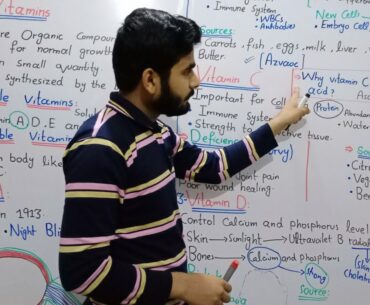 Vitamins || Vitamins And Deficiency Disease In Urdu Hindi By Mr Hadi | Fat And Water Soluble Vitamin