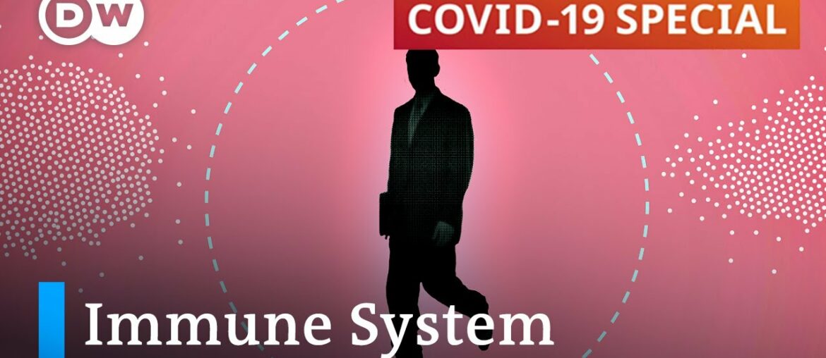 Does immune protection play any part in COVID-19 severity? | COVID-19 Special