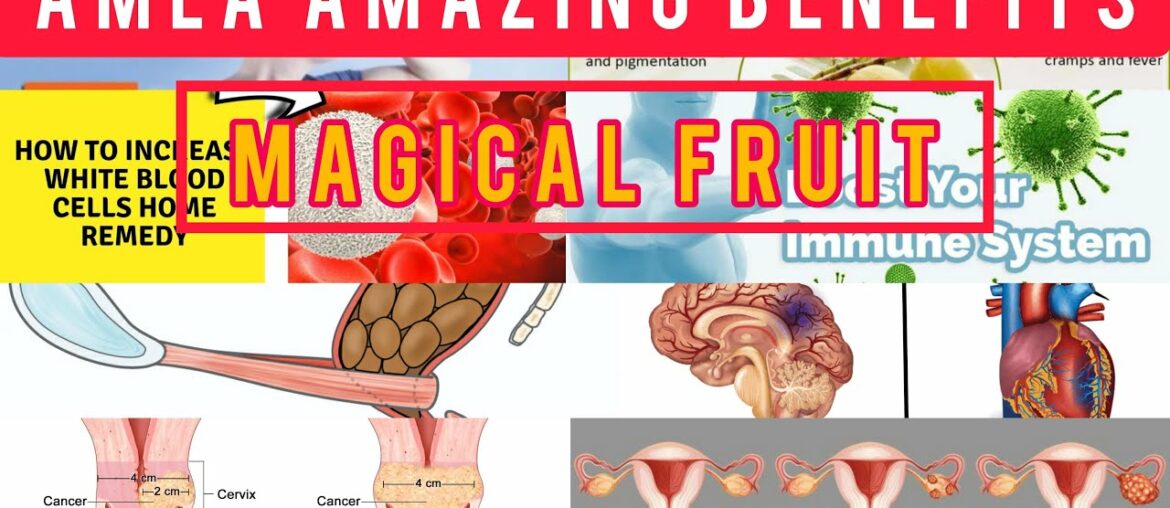 HONEY GOOSEBERRY/ NATURAL WAY OF IMPROVES IMMUNITY/ HONEY AMALA RECIPE/ HEALTHY RECIPE/ HEALTHY ART