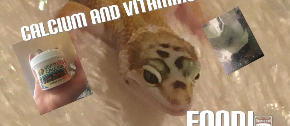 Leopard gecko supplements ( Calcium and vitamins )