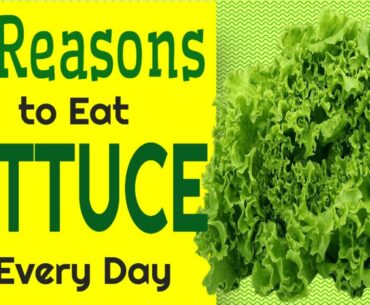 Lettuce - 15 Reasons Why You Should Need to Eat Lettuce Every Day