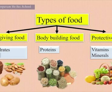 3 STD - Science - Revision : Food and Nutrition