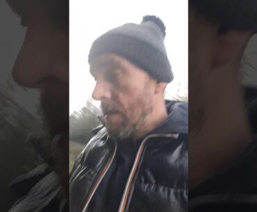 how to boost your immune system with vitamin C pine needle tea