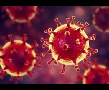 vegetables against coronavirus