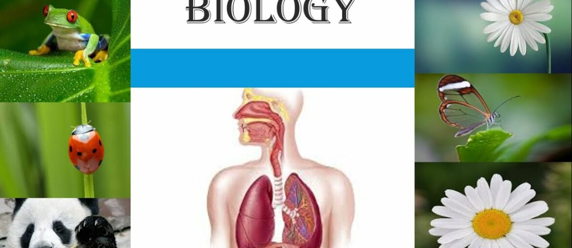 LECTURE 80 OF BIOLOGY FOR GRADE IX TOPIC VITAMIN C
