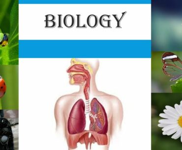 LECTURE 80 OF BIOLOGY FOR GRADE IX TOPIC VITAMIN C