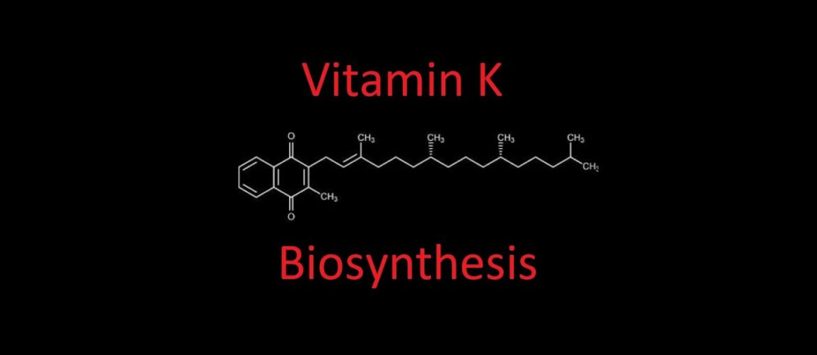 Nutrition 17 | Fat Soluble Vitamins 4 - Vitamin K