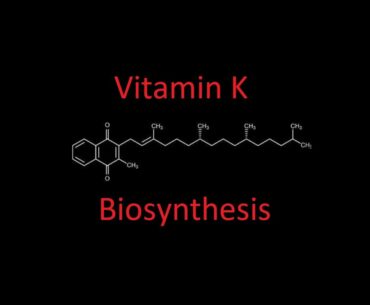 Nutrition 17 | Fat Soluble Vitamins 4 - Vitamin K