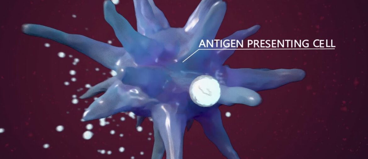 How mRNA COVID-19 Vaccines Work to Fight COVID-19